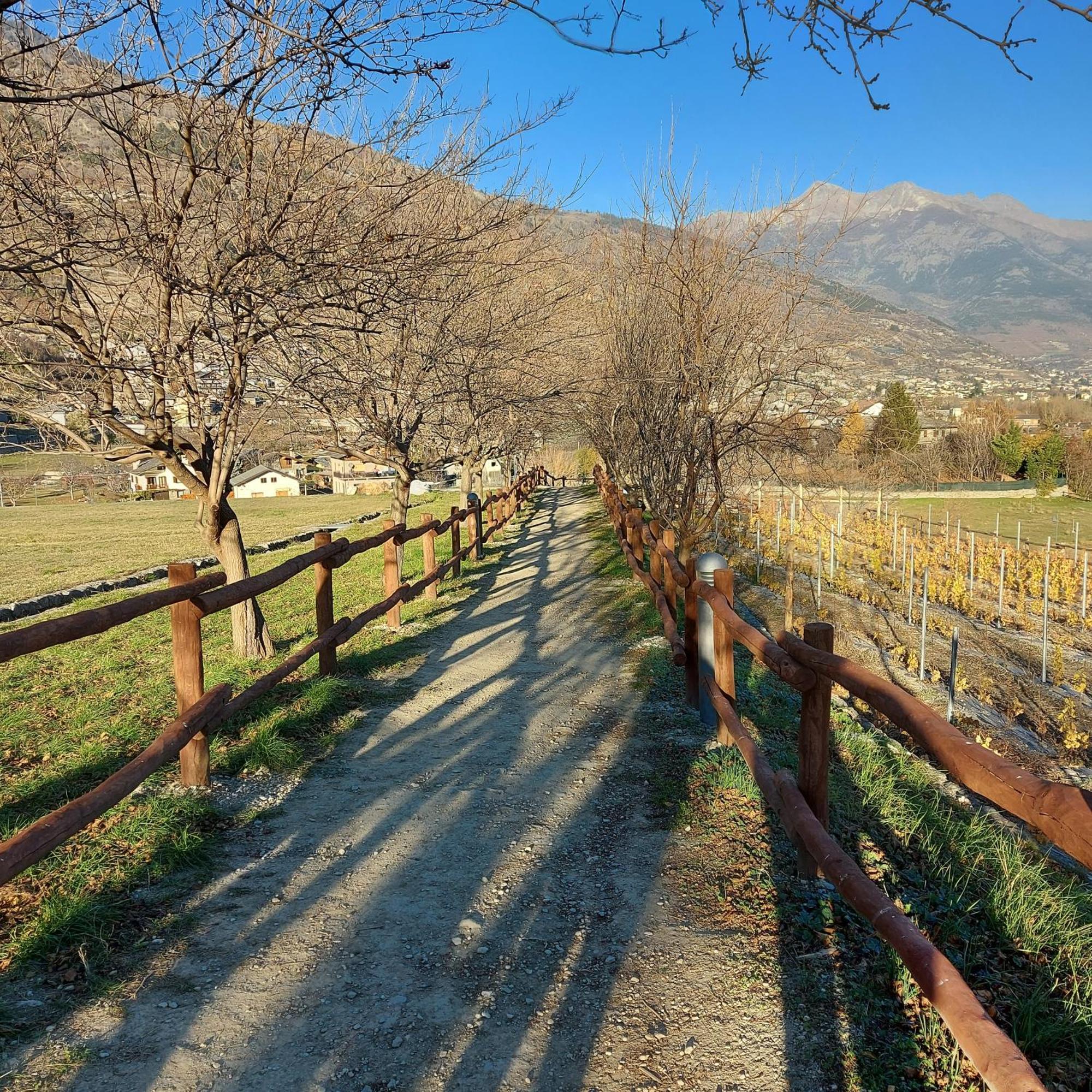 La Taverna Alloggio Ad Uso Turistico - Vda -Sarre - Cir- 0073 Аоста Екстериор снимка