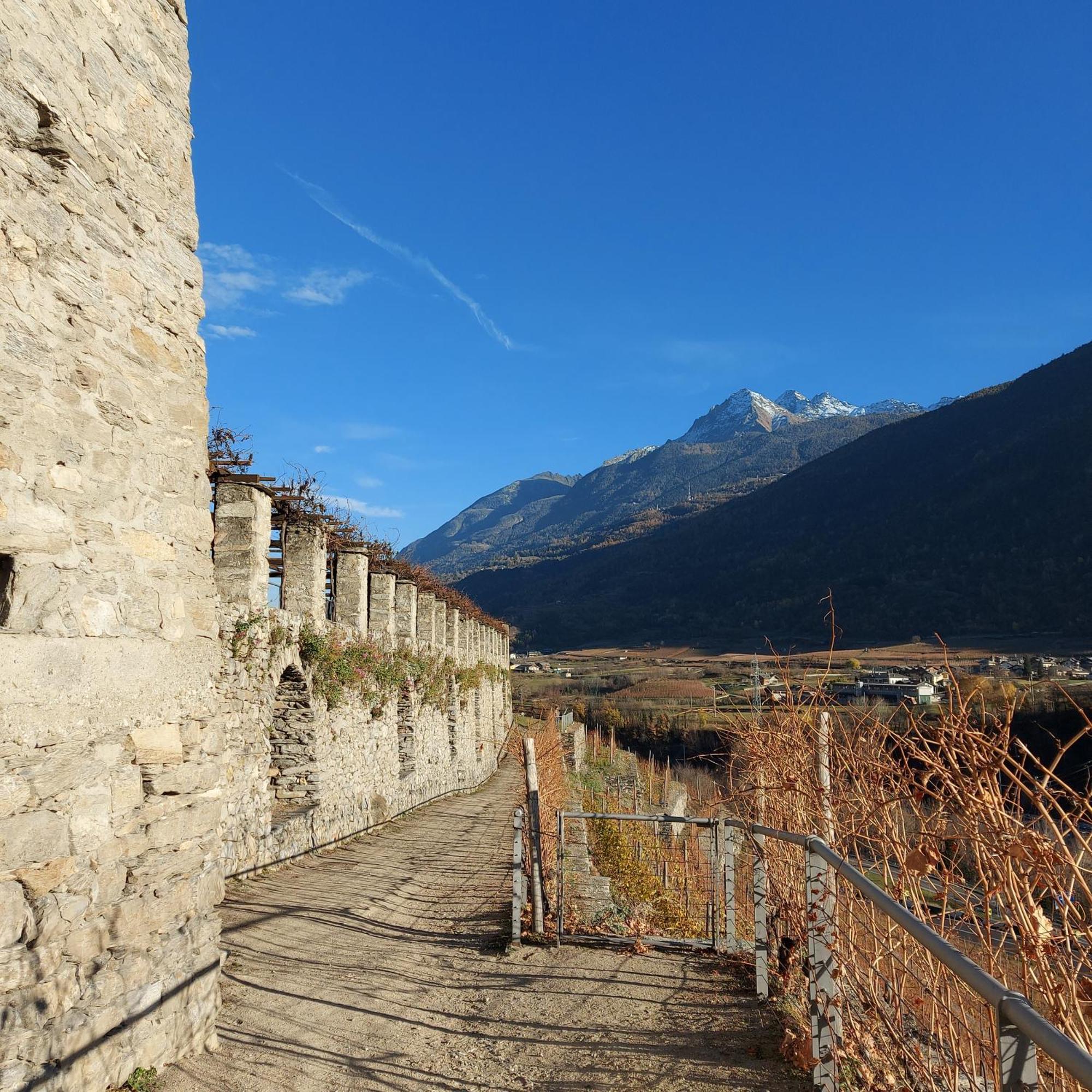 La Taverna Alloggio Ad Uso Turistico - Vda -Sarre - Cir- 0073 Аоста Екстериор снимка